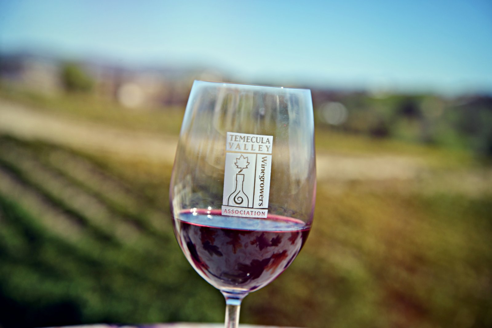 wine tasting tours from los angeles